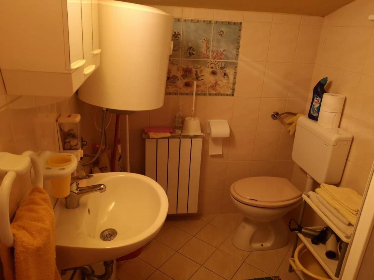Apartment Samanta Šišan Buitenkant foto