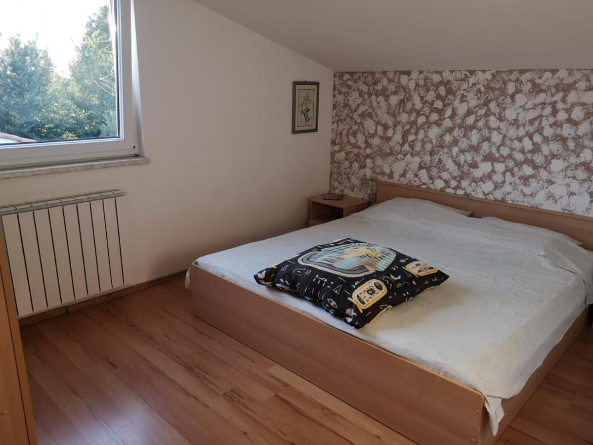 Apartment Samanta Šišan Buitenkant foto