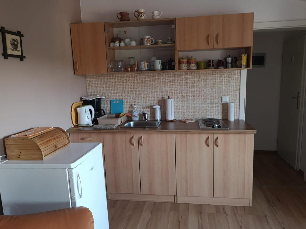 Apartment Samanta Šišan Buitenkant foto