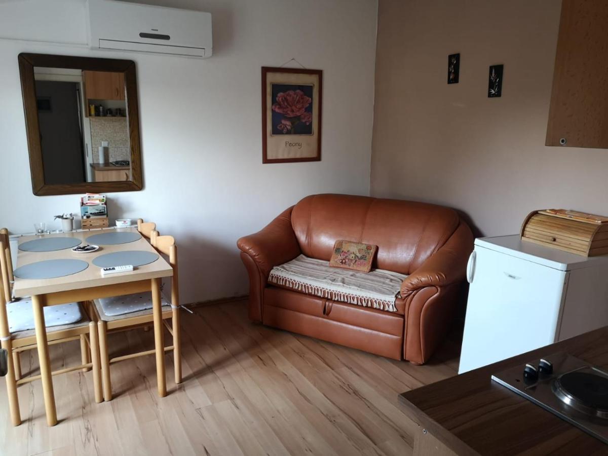 Apartment Samanta Šišan Buitenkant foto